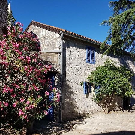 The Istrian Villa Vrsar Eksteriør bilde